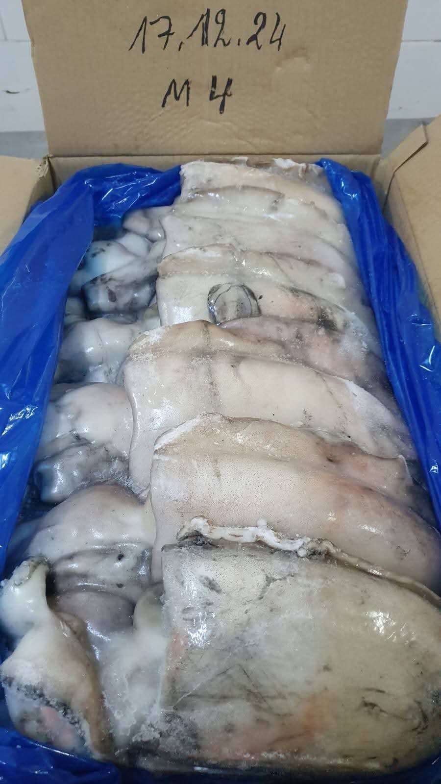 cuttlefish product 4