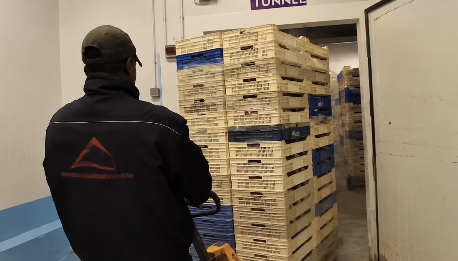 AZZA Seafood handling and cold-chain operations in Mauritania