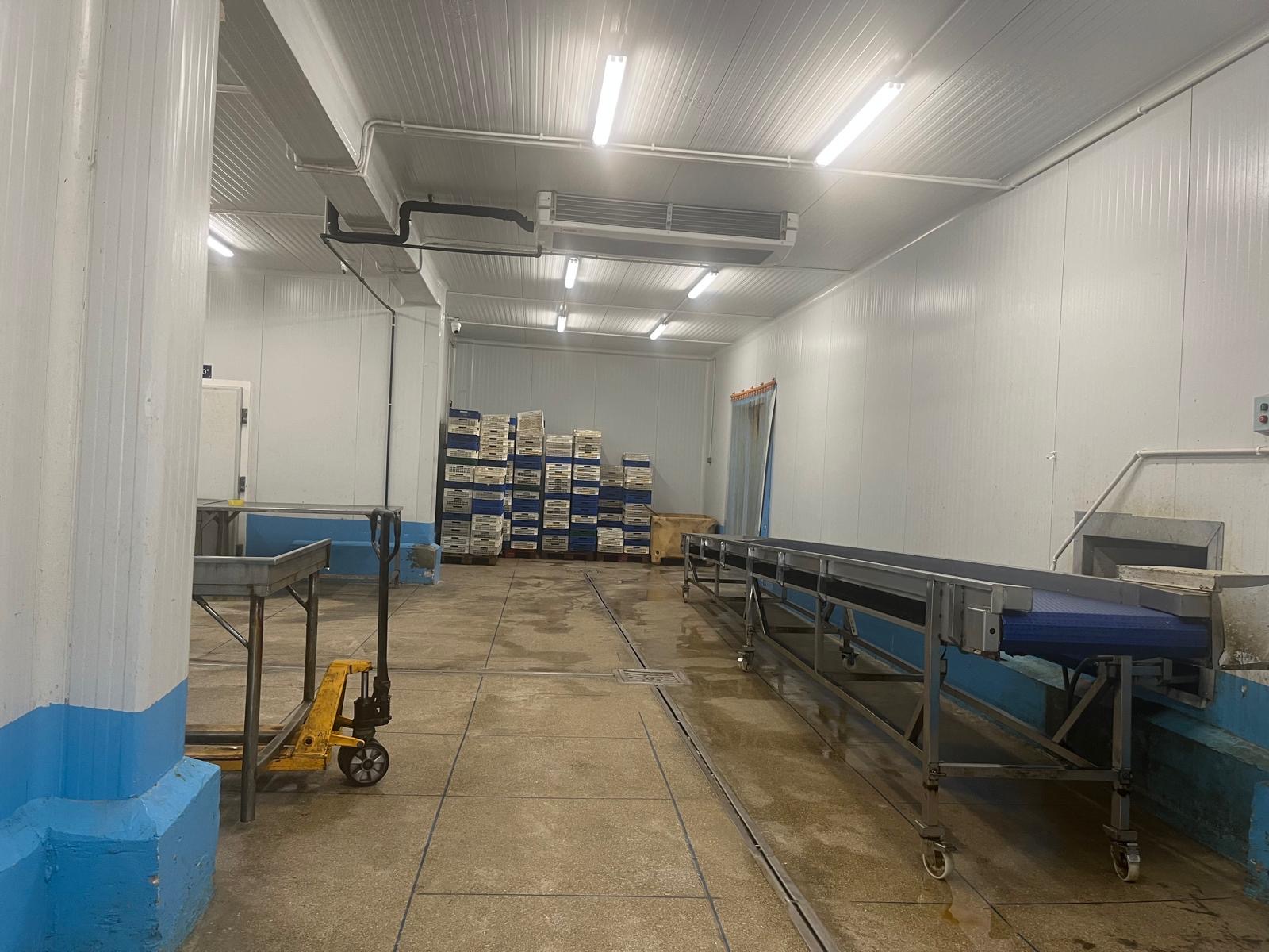 Seafood processing facility in Mauritania