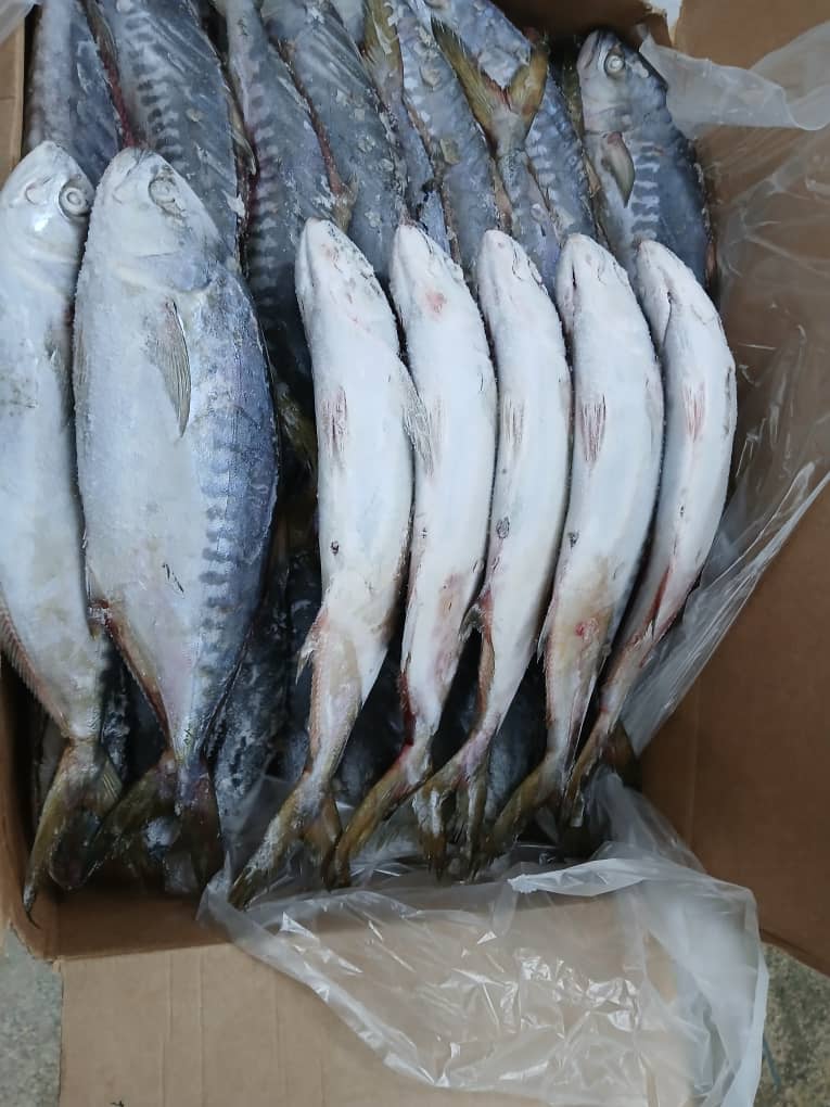 fish product 2