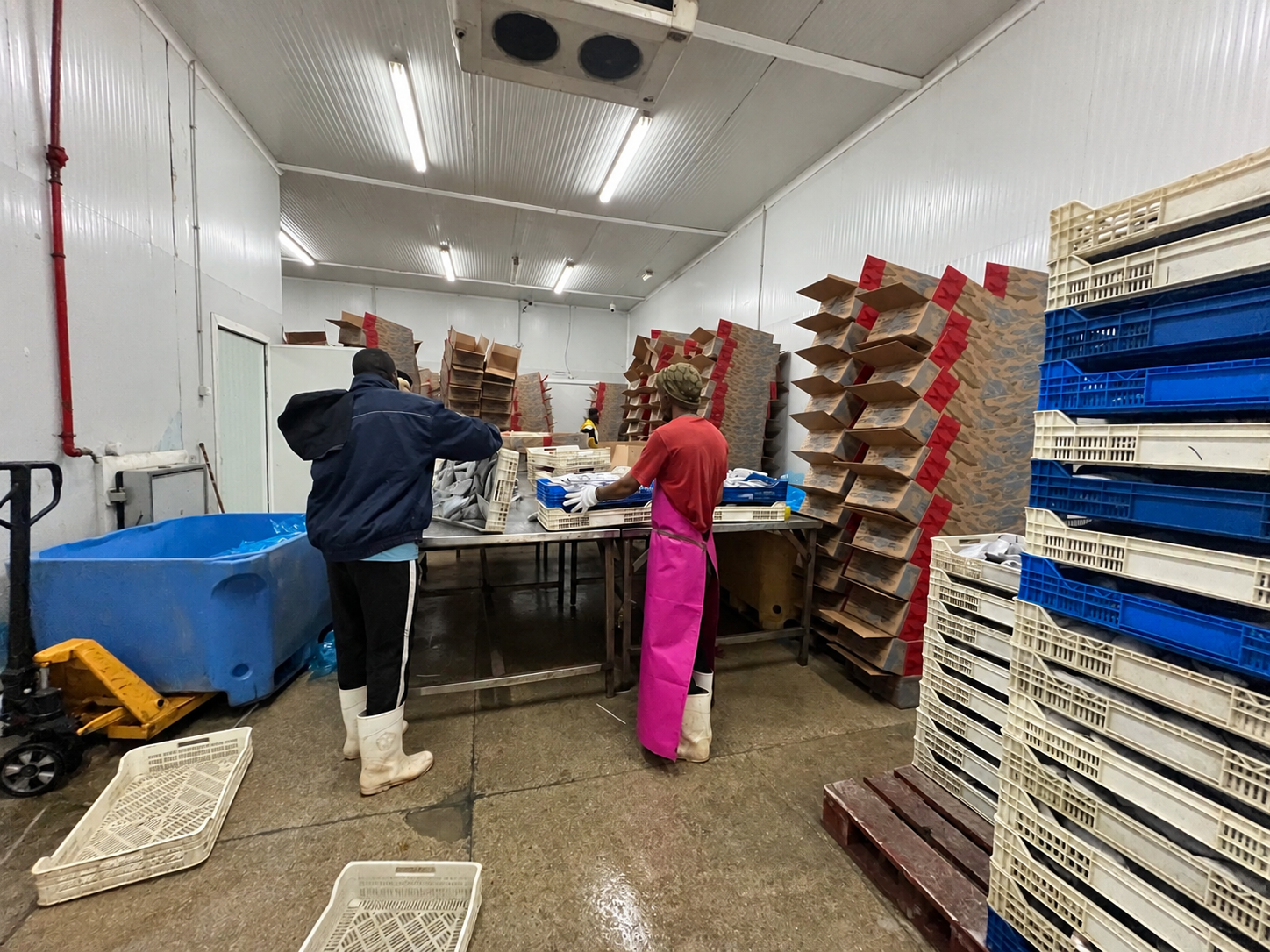 Seafood handling and processing