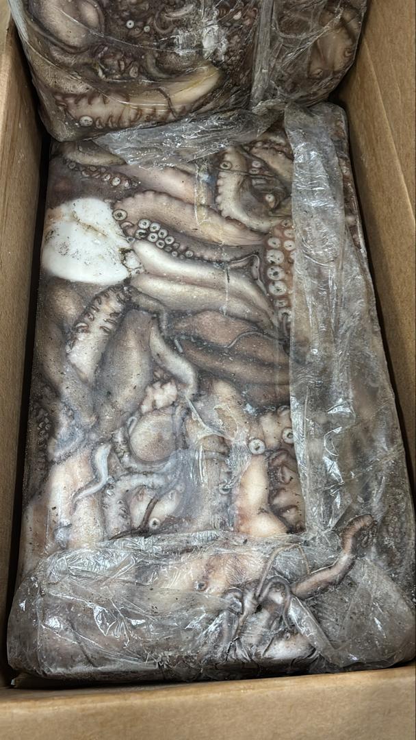 octopus product 1