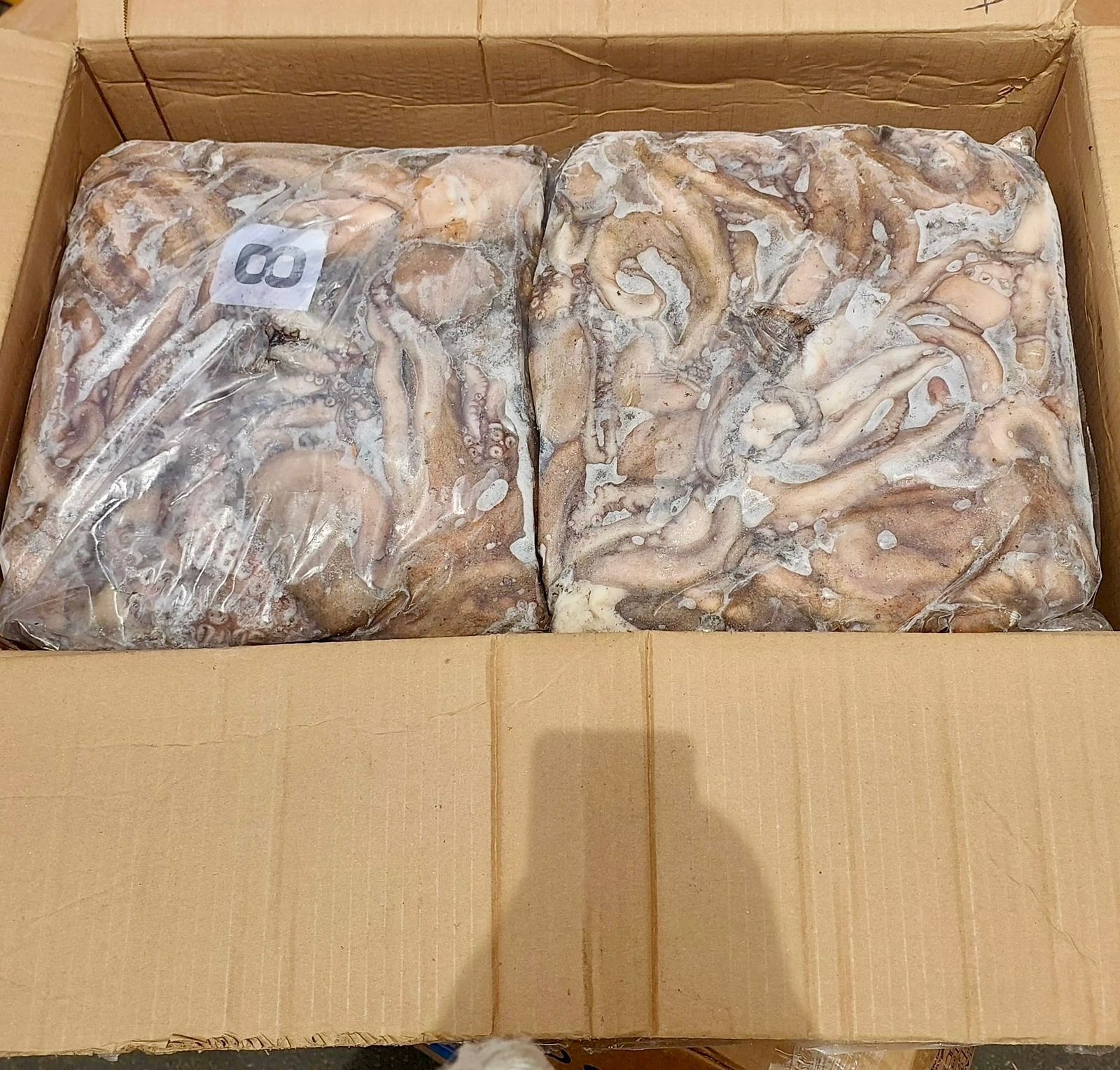 octopus product 2